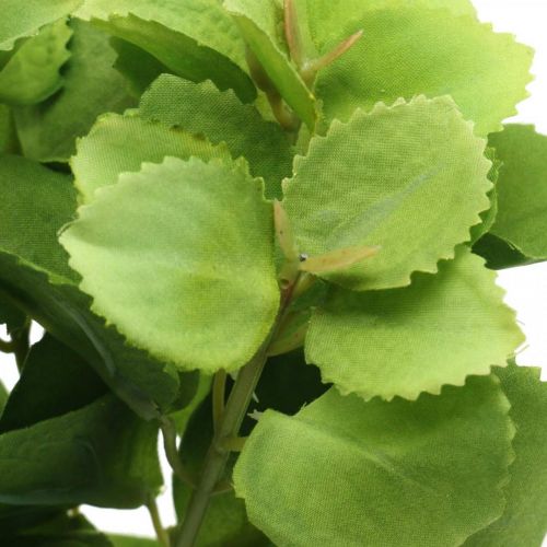 Article Vert menthe artificielle, branches de menthe déco, fleur en soie L32cm 3pcs