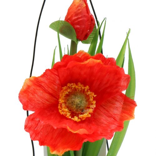 Floristik24 Graines de pavot orange dans un verre H22cm