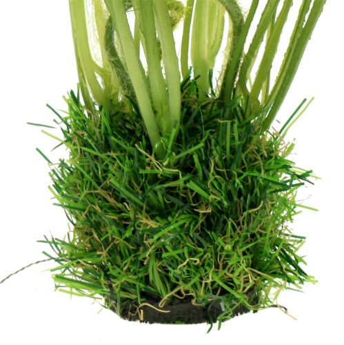 Article Coquelicot dans l'herbe 23cm