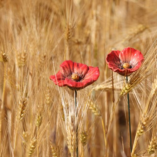Article Coquelicots en céramique, décoration romantique pour le printemps, jardin et parterres de fleurs, 31 cm, lot de 6.