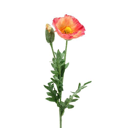 Floristik24 Pavot factice rose fuchsia, jaune 74 cm