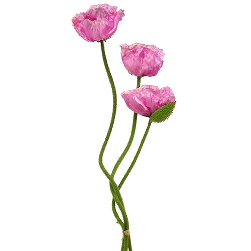 Coquelicots rose 59cm - 75cm 3 pcs