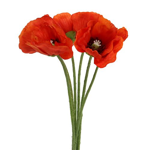 Floristik24 Bouquet coquelicot L28cm