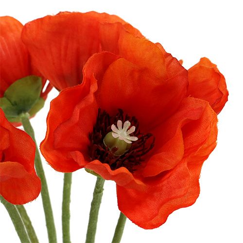 Floristik24 Bouquet coquelicot L28cm