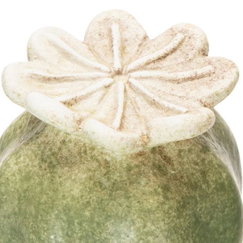 Article Décorations de jardin en capsules de pavot, 60 cm, 2 pièces