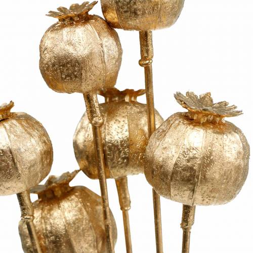 Floristik24 Capsule de graines de pavot sur bâton doré 59cm 6pcs