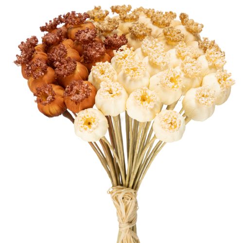 Bouquet de capsules de pavot artificielles tricolores 40 cm 45 pièces | Floristik24.fr