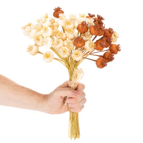 Bouquet de capsules de pavot artificielles tricolores 40 cm 45 pièces | Floristik24.fr