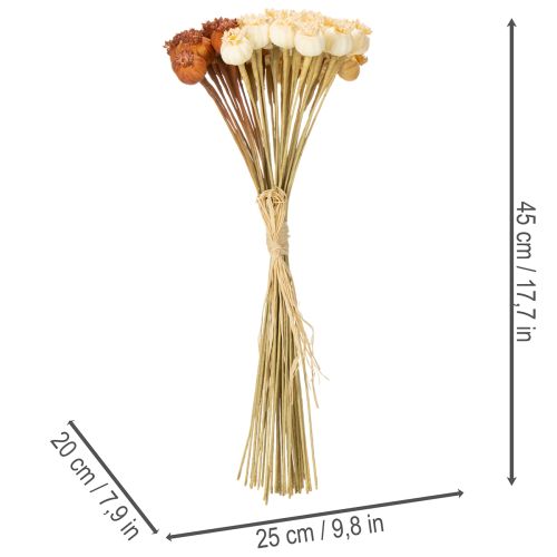 Bouquet de capsules de pavot artificielles tricolores 40 cm 45 pièces | Floristik24.fr