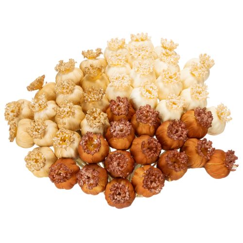 Bouquet de capsules de pavot