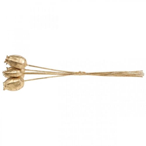 Floristik24 Capsules de coquelicot décoration coquelicot artificiel doré décoration de Noël 38cm 6pcs