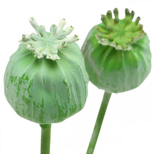 Floristik24 Capsules de graines de pavot décoration graines de pavot artificielles sur un bâton vert 58cm 3pcs en botte