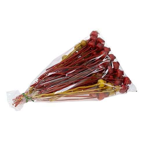 Floristik24 Têtes de pavot 3 couleurs triées 100 pcs