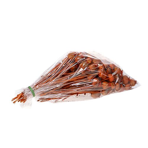 Floristik24 Têtes de coquelicots colorées orange 100 pcs