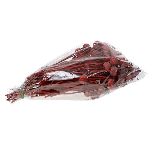 Floristik24 Têtes de coquelicot colorées en rouge 100 pcs