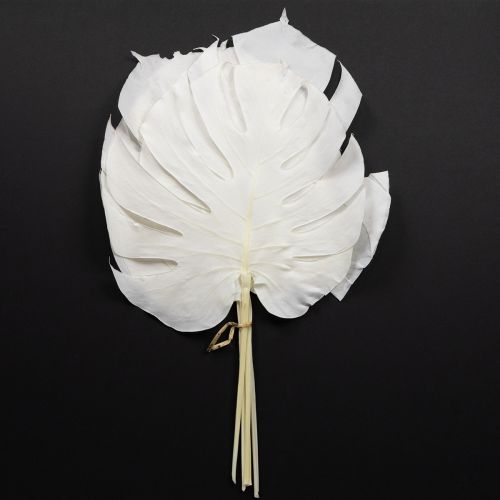 Feuilles de Monstera blanchies décoratives pour fenêtre H40cm 5 pcs