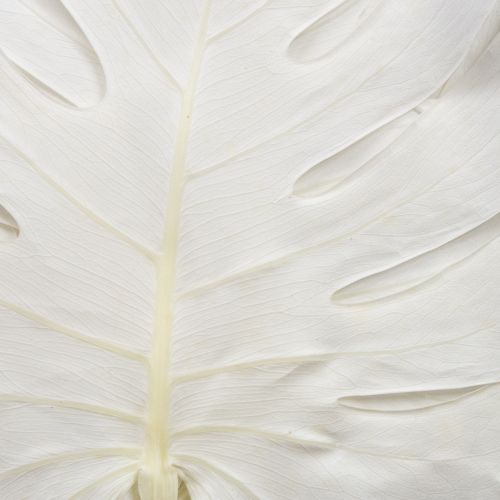 Floristik24 Feuilles de Monstera blanchies décoratives pour fenêtre H40cm 5 pcs