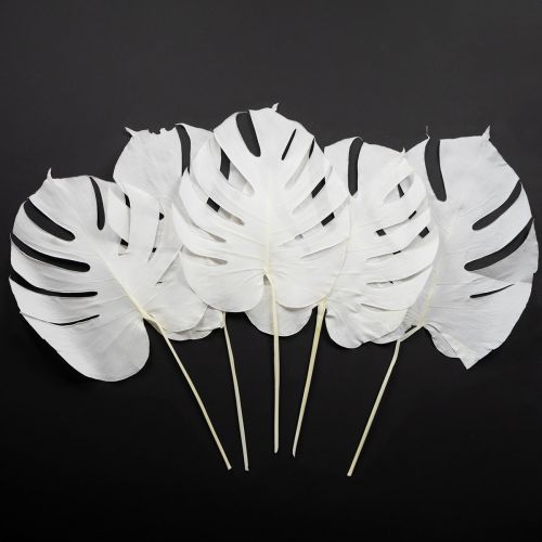 Floristik24 Feuilles de Monstera blanchies décoratives pour fenêtre H40cm 5 pcs