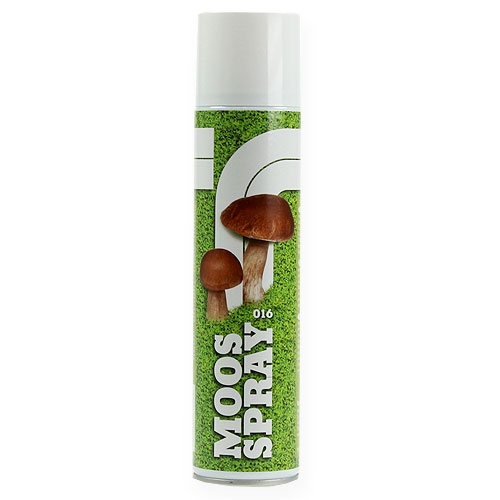 Floristik24 Spray Mousse 400ml