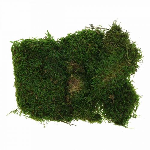 Mousse décorative pour travaux manuels vert, vert foncé 100g