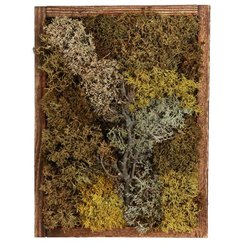 Article Image en mousse véritable image en mousse avec cadre conservé 40×30cm