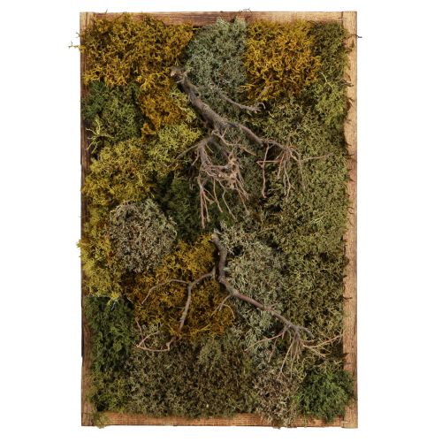 Floristik24 Tableau en mousse véritable mousse préservée et branches naturelles 60×40cm