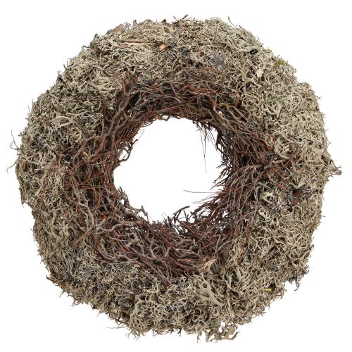 Article Couronne en mousse florale Lichen stabilisé gris épurge Ø30cm