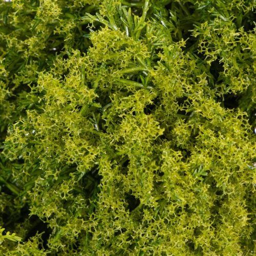 Couronne décorative en mousse artificielle verte 28 cm pour table ou porte | Floristik24.fr