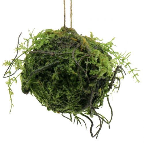 Floristik24 Boule de mousse Kokedama verte artificielle Ø13cm