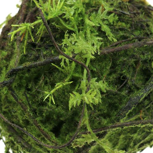 Floristik24 Boule de mousse Kokedama verte artificielle Ø13cm