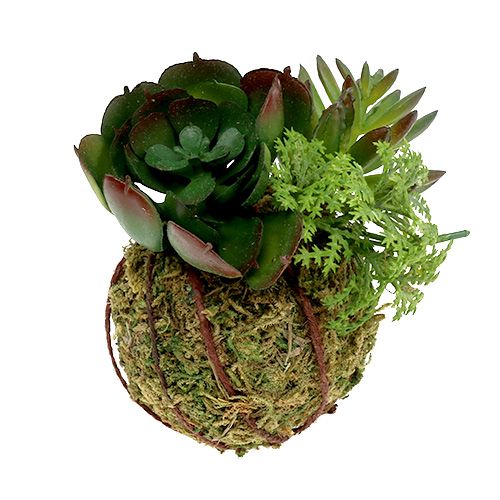 Floristik24 Kokedama Artificiel Vert Ø7cm