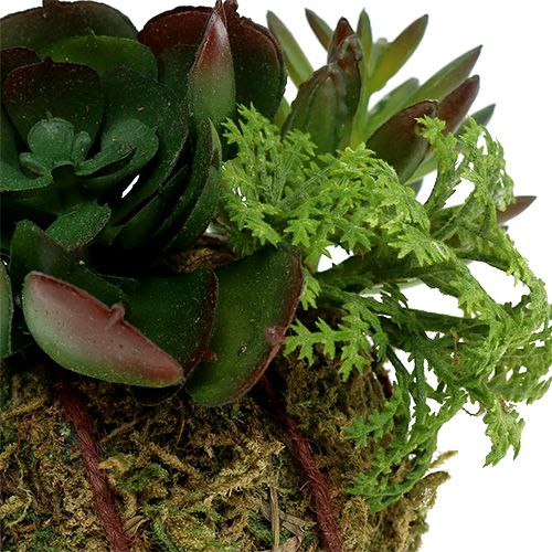 Floristik24 Kokedama Artificiel Vert Ø7cm