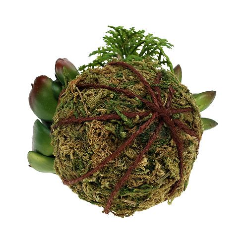 Floristik24 Kokedama Artificiel Vert Ø7cm