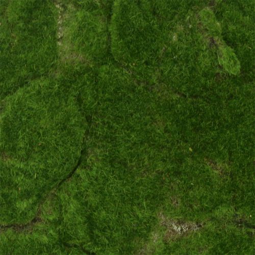 Floristik24 Tapis de Mousse Vert 35cm x 35cm