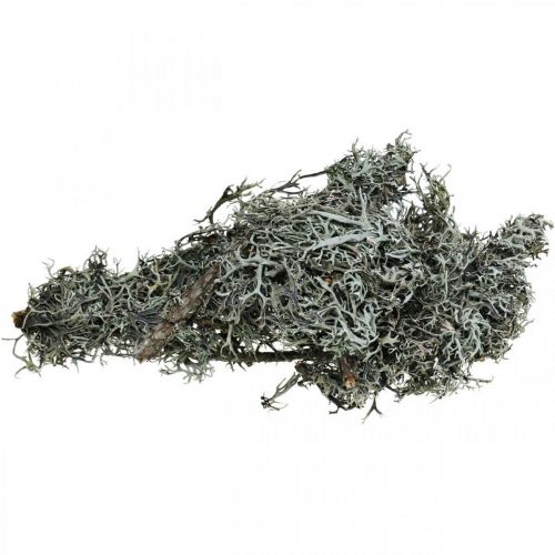 Article Déco brindilles mousse de chêne mousse déco lichen décoration naturelle 750g