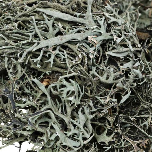 Article Déco brindilles mousse de chêne mousse déco lichen décoration naturelle 750g