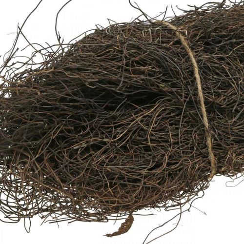 Article Mühlenbeckia matériel de vigne environ 1 kg nature