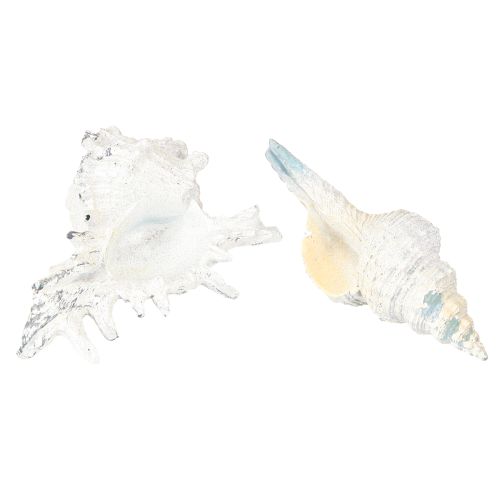 Article Coquillage Décoration Escargot de Mer Artificiel Bleu-Blanc 11,5/13cm 2 Pièces