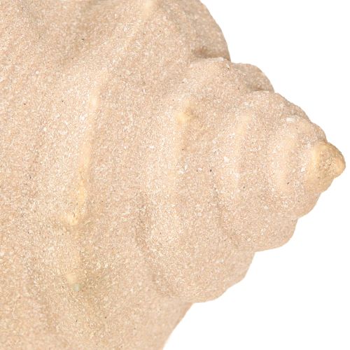 Article Coquillage Décoration Maritime Céramique Bleu Beige 16.5×11×9.5cm 2 pcs