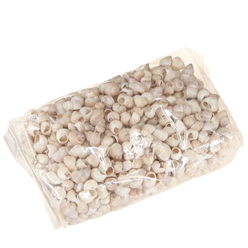 Floristik24 Moule Umachi 500g