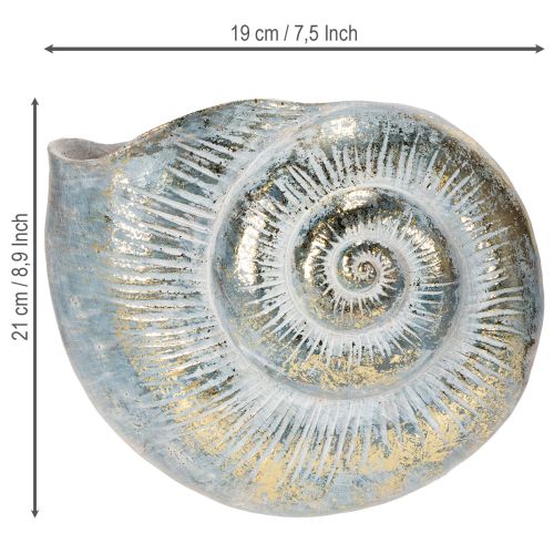 Article Pot décoratif en forme d'escargot pour une décoration murale marine et naturelle, gris, 21 cm
