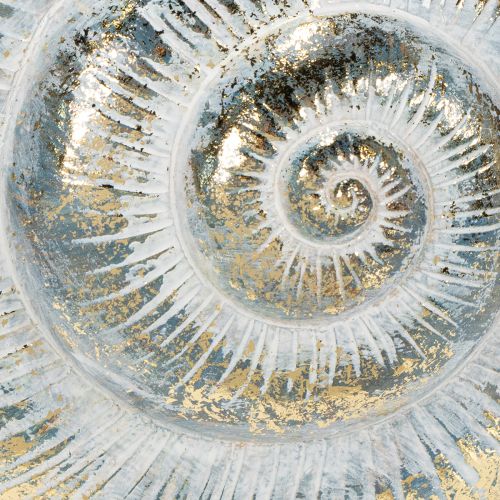 Article Pot décoratif en forme d'escargot pour une décoration murale marine et naturelle, gris, 21 cm