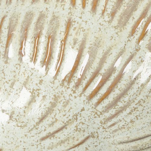 Article Bol en céramique à motif coquillage pour une décoration élégante dans le salon, 23 cm