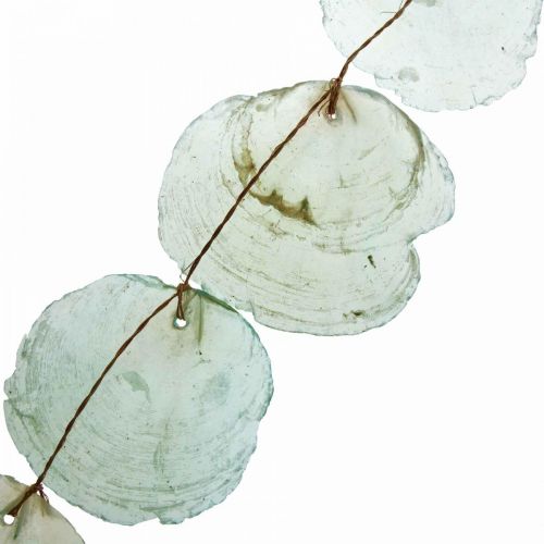 Floristik24 Guirlande Coquillage Déco Capiz Guirlande Coquillage Vert 100cm