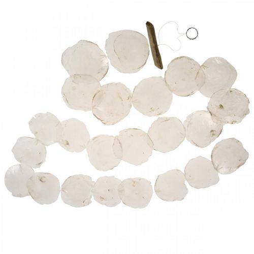 Floristik24 Guirlande Coquillages Nacre Guirlande Coquillages Capiz 195cm