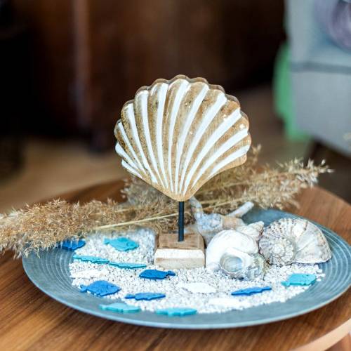 Floristik24 Coquille avec socle bois blanc, nature 20×14cm Décoration maritime pour le salon