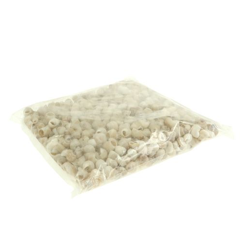 Article Moule Umachi 500g