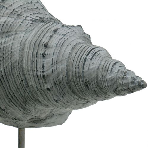 Floristik24 Figurine de jardin coquillage sur pied H30cm