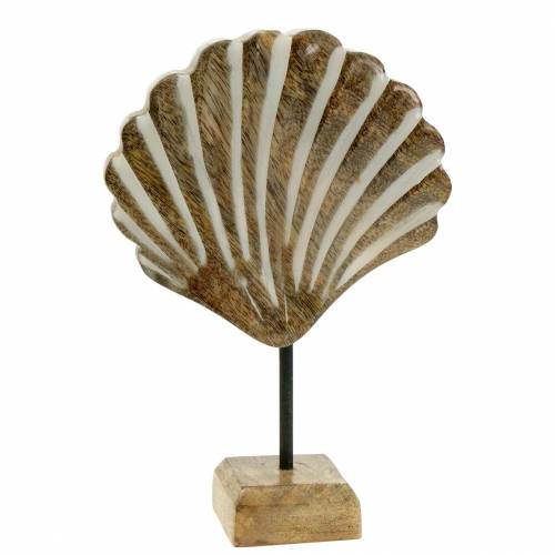 Floristik24 Coquille avec socle bois blanc, nature 20×14cm Décoration maritime pour le salon