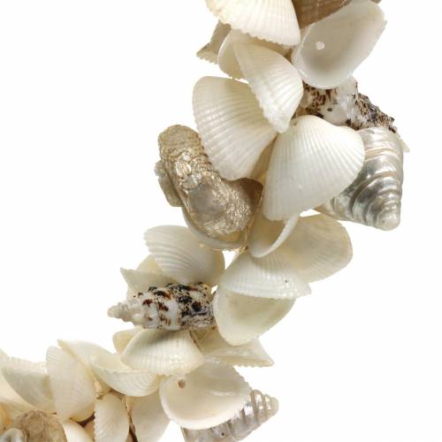 Floristik24 Couronne de coquillages blanc naturel Ø40cm